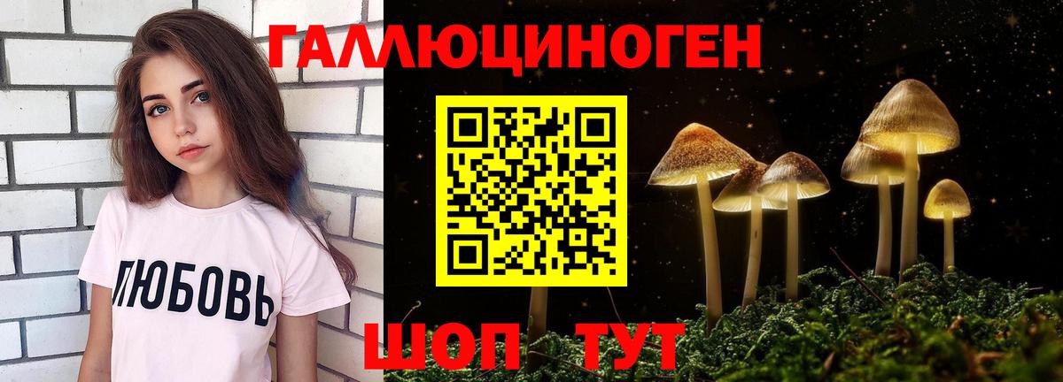 Лесосибирск  Галлюциногенные грибы Psilocybine cubensis  хочу наркоту  Вход с VPN 